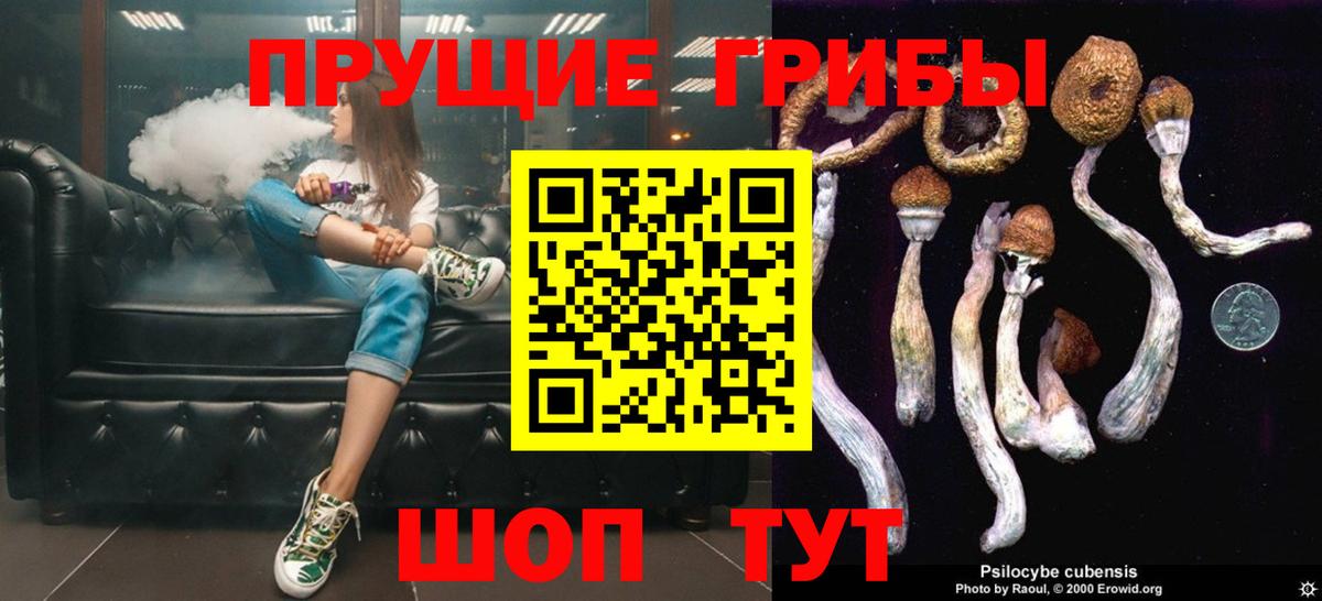 Псилоцибиновые грибы MAGIC MUSHROOMS  Вход с VPN  Железноводск 